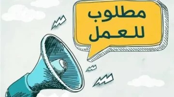 وظائف هيئة الإسعاف المصرية تعلن توفّر 4000 فرصة عمل جديدة لعام 2025